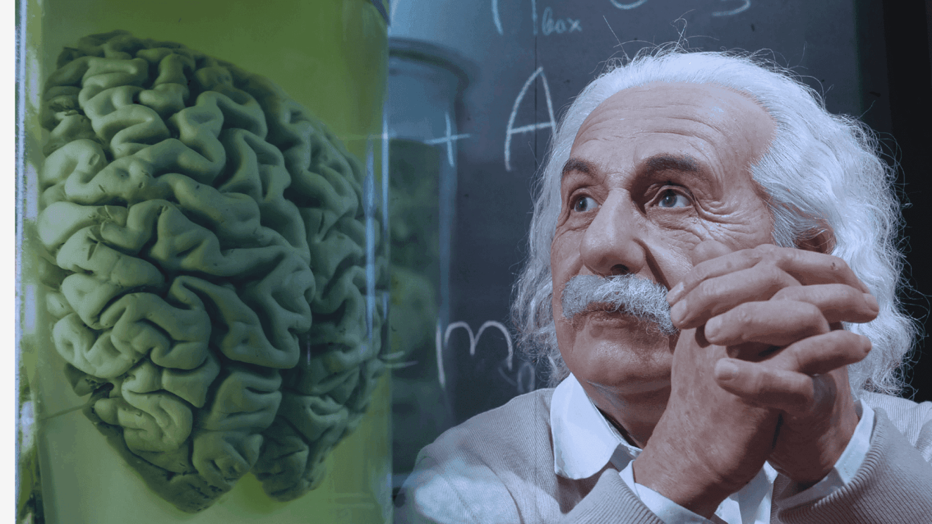 Neuro Energizer Program